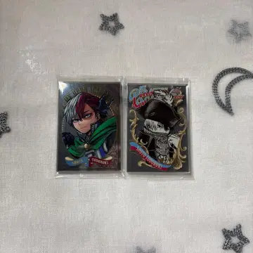 토도로키 쇼토 퍼블릭 미러