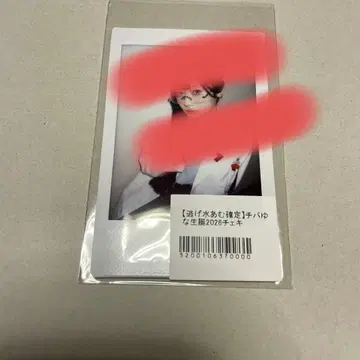 큐루링 해봐 치바 유나 생탄 폴라로이드 신기루 아무