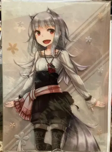 뮤리 늑대와 향신료 A4 클리어 파일 넘기면 안 돼 늑대와 양피지