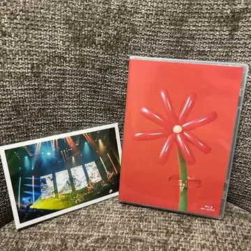 마카로니 연필 MACAROCK'N LIVE-1 BluRay 일반ver