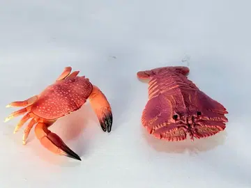 호시만쥬가니 우치와에비 피규어