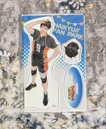 하이큐!! 카게야마 토비오 fan park 키 비주얼 아크릴 피규어