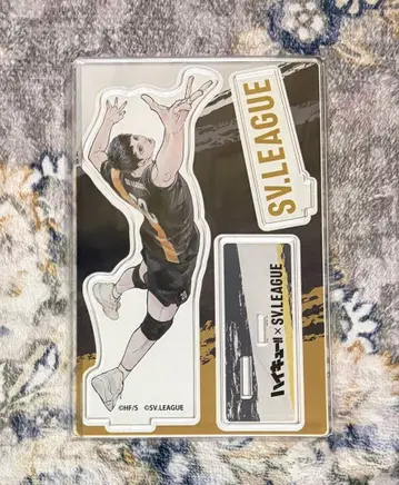 하이큐!! 카게야마 토비오 SV 리그 아크릴 피규어 아크릴 스탠드