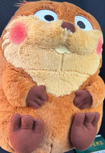 익명 배송 내가 비버가 될 때 FukuFuku 초 BIG 봉제 인형