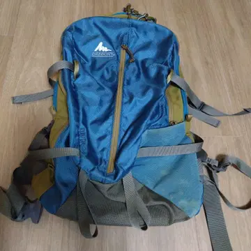 GREGORY MUIR 24 블랙 백팩 단종품 그레고리 백팩