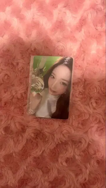 이소 md dive into ive 트레이딩 카드