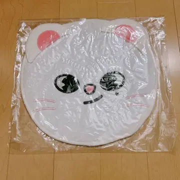 스키즈 Stray Kids 부채 케이스 지니레트