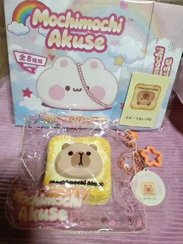 모찌모찌 아쿠세 블라인드 카피바라 토스트 스퀴즈