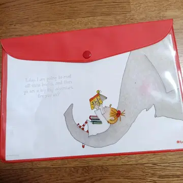 새상품 Coco 플랫 케이스 클리어 파일