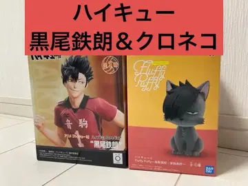 하이큐!! 쿠로오 테츠로 피규어 & Fluffy Puffy 쿠로네코