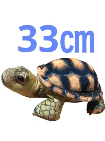 육지거북 리얼 거북 봉제 인형 중형 새상품급 가격 인하 중