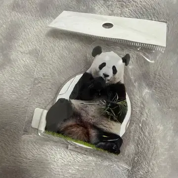 어드벤처 월드 유우힌 아크릴 스탠드 팬더