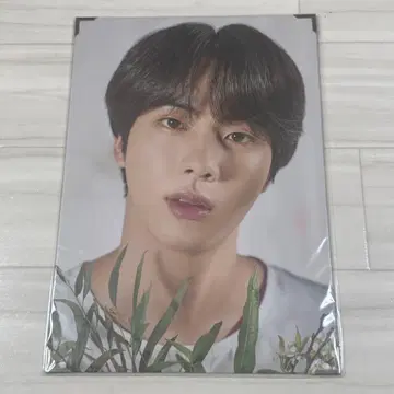 BTS JIN LOVE YOURSELF 프리미엄 사진
