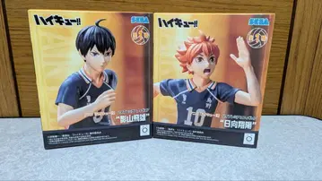 하이큐!! 하이 프리미엄 피규어 히나타 쇼요 카게야마 토비오 2체 세트