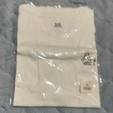 BUMP OF CHICKEN 홈 시크 위생 2024 티셔츠 XL