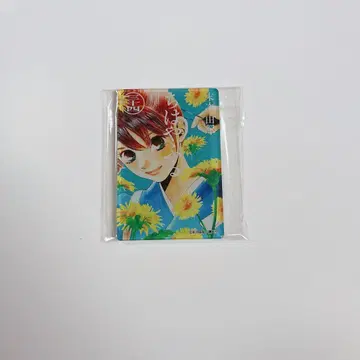 치하야후루 아크릴 마그넷 34권 스에츠구 유키 아야세 치하야