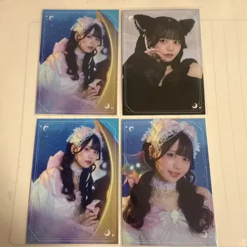 후쿠마루 우사 탄생제 2026 트레이딩 카드 4장 세트