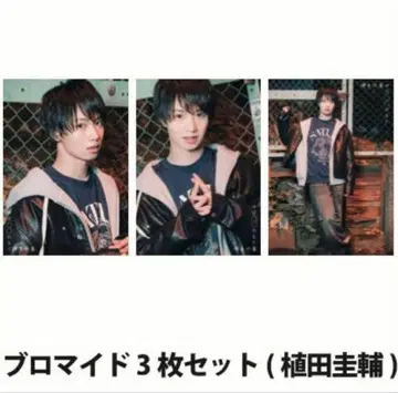 우에다 케이스케 쿠치마루 입은 만물의 근원 브로마이드 세트 하카타의 연회