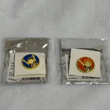 하이큐전 핀즈 히나타 카게야마