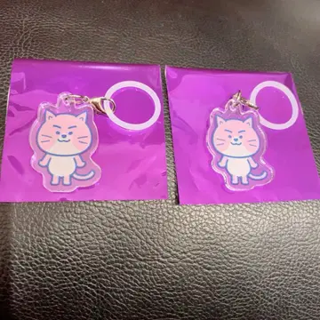 WILDBLUE 메지루시 아크릴 참 미야타케 하야테