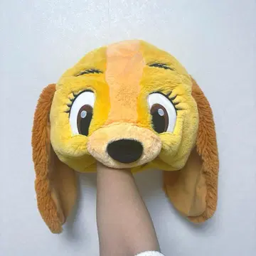 디즈니 팬캡 완완 이야기 레이디