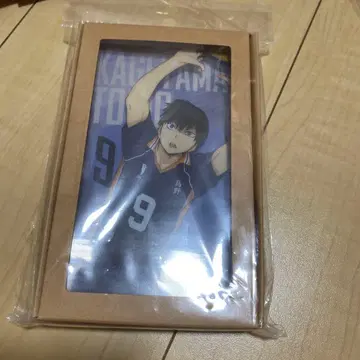 하이큐!! 카게야마 토비오 노블 아트