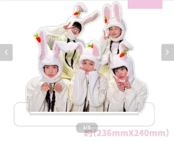 NewJeans 뉴진스 NJZ 빅 아크릴 스탠드