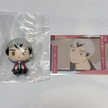 하이큐!! [ 키타 신스케 ] 쵸코놋코 피규어 카드