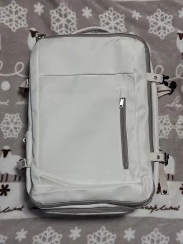 비즈니스 백팩 여행 가방