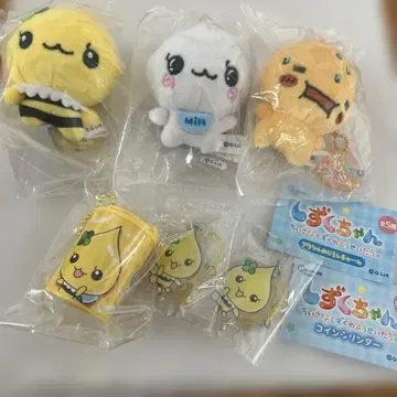 시즈쿠짱 봉제 인형 메지루시 참 코인 실린더