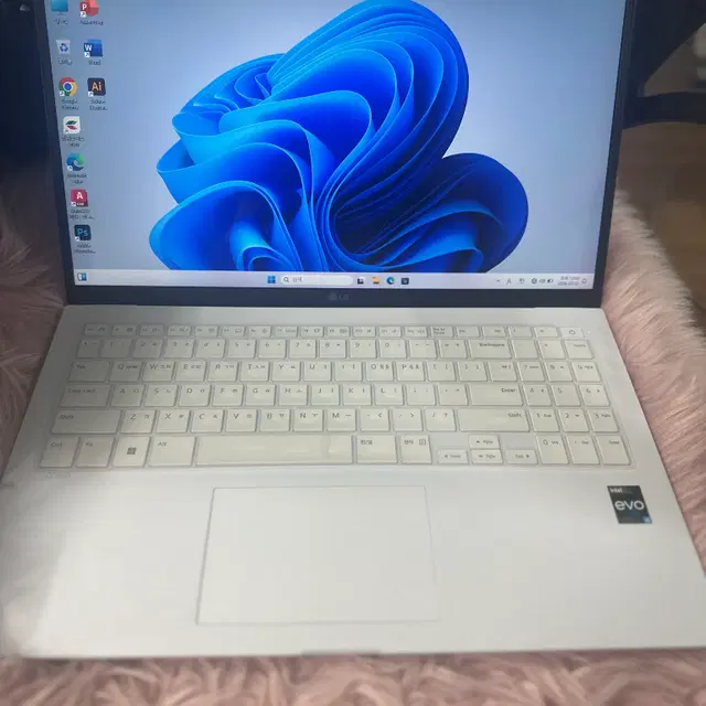 LG 그램 13세대 15Z90R-GA56K 15인치