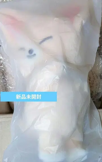 스키즈 팝업 SKZOO PLUSH BAG FoxI.Ny