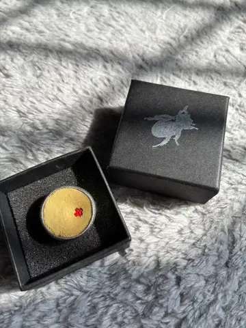 [ 희소 ] KASICA arms 반지 11호 노다 요지로 실버925