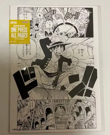 원피스 베이스샵 루피 all pages