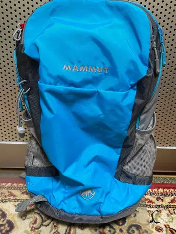 마무트 MAMMUT 백팩