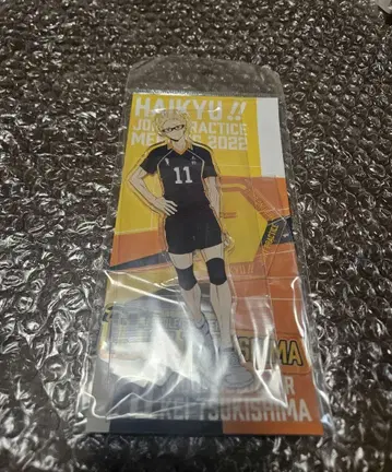 하이큐 합동 연습회 2022 아크릴 스탠드 츠키시마 케이