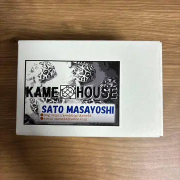악어거북 리페인트 KAME HOUSE SATO MASAYOSHI