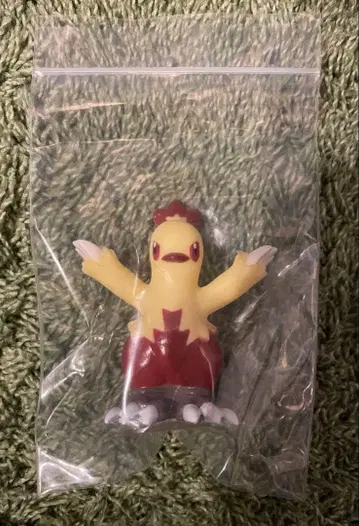 포켓몬 키즈 이로치 캠페인 와카샤모