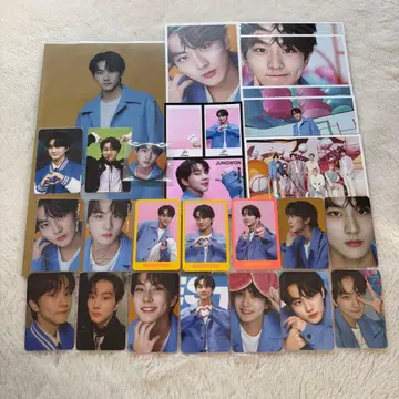 ENHYPEN 정원 DFESTA