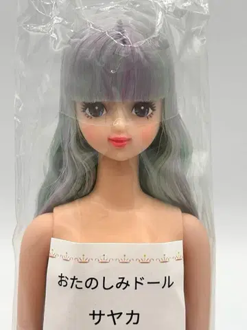 사야카 리카짱 캐슬 오타노시미 인형 제니 프렌드 스카이블루 계열 헤어