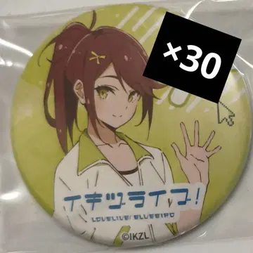 고토 링 러브 라이브 이키즈 라이브 캔뱃지 30개 생존 곤란부