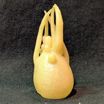 에드 카우처 우주 생물원 금성인 축광 성형