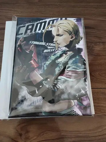 스트리트 파이터 6 아트 보드 캐미 (cammy) GRAPHT