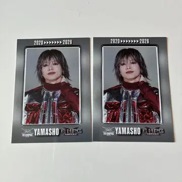 THE RAMPAGE LIVE TOUR 2026 포토 카드 가챠가챠