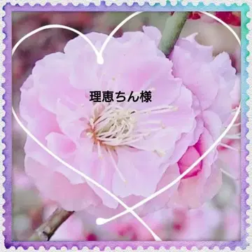 리에치 님 드링크 홀더 강아지 패널 말티즈