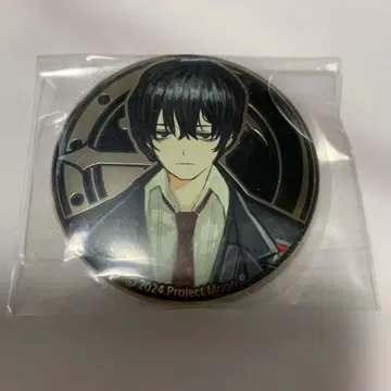 림바스 컴퍼니 아르티 메탈 배지 컬렉션 이 상