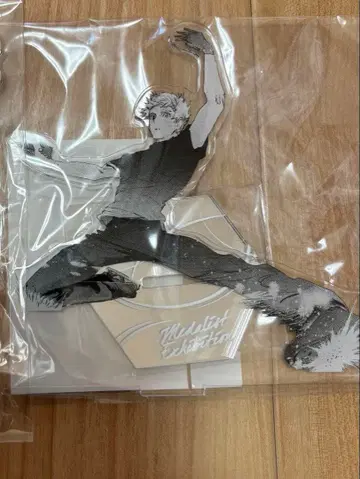 메달리스트전 아키우라지 츠카사 아크릴 스탠드