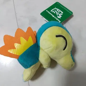 새상품 포켓몬 쵸코리상 히노아라시 봉제 인형