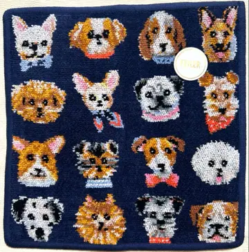 페이 라브라 리드 도기 완판템