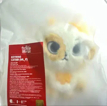 BOYNEXETDOOR CATBBI 키링 선호